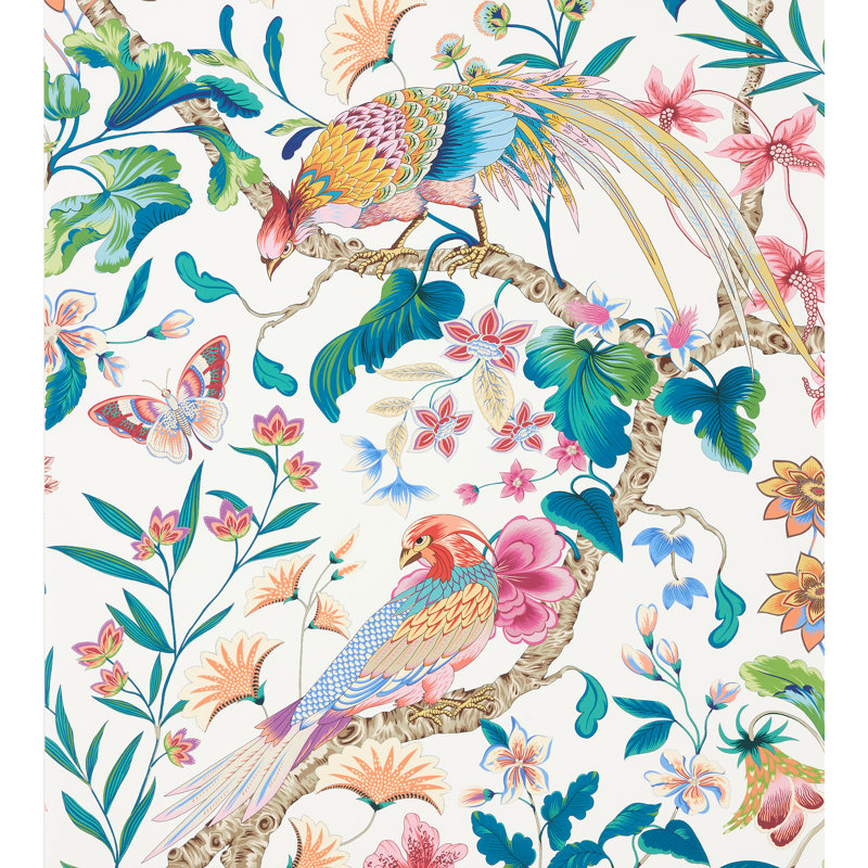 Baie botanique - revêtement mural, Jardin de plantes vivaces