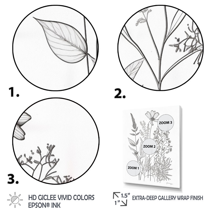Minimal Wildflowers, dessin noir sur blanc I sur toile, 32" H x 16" W, Cadre flottant doré