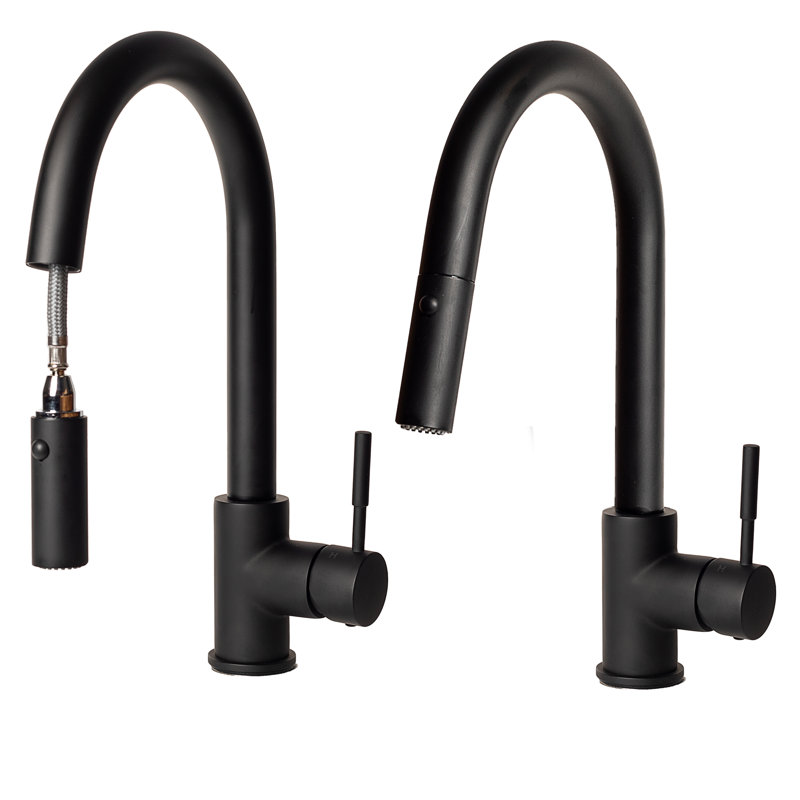 Arthur Single Handle Kitchen Faucet with Side Spray and Accessories, Matte Black