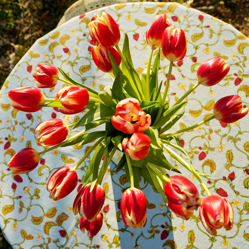 Strawberry Red Blue 70 Round Tablecloth, 70" Round