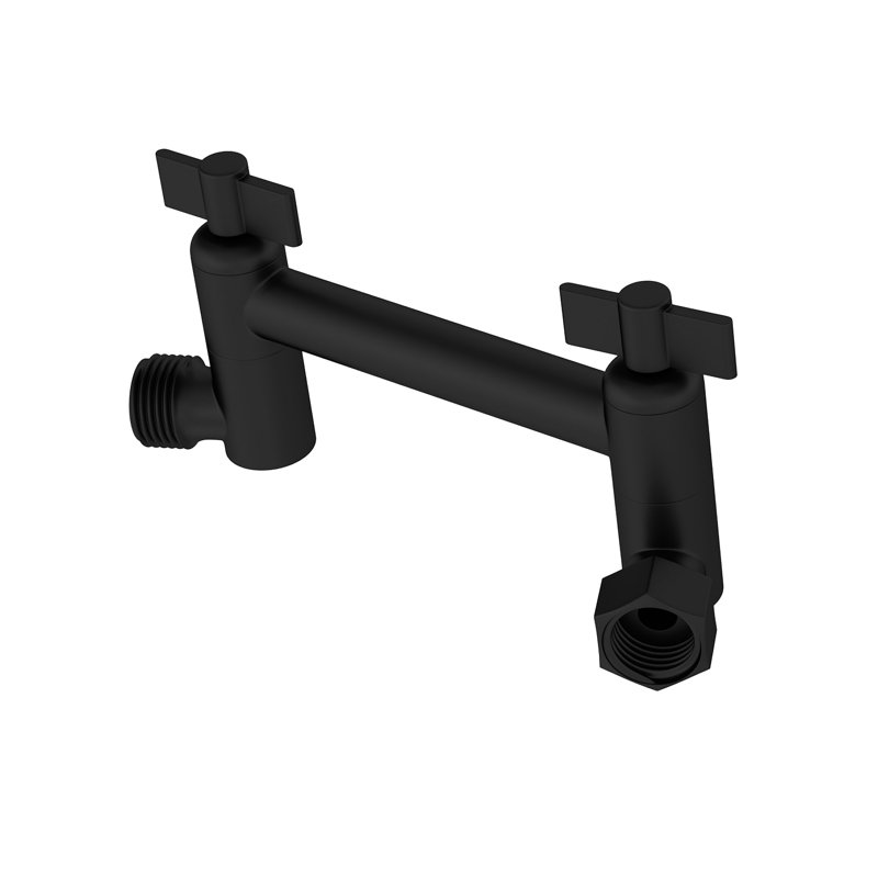 Bras de douche extensible en acier inoxydable 4 po