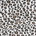 Betseys Leopard