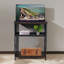 Support d'aquarium pour aquariums de 10 à 20 gallons Structure en acier robuste à hauteur réglable à deux niveaux avec cage de reptile robuste ou armoire de rangement