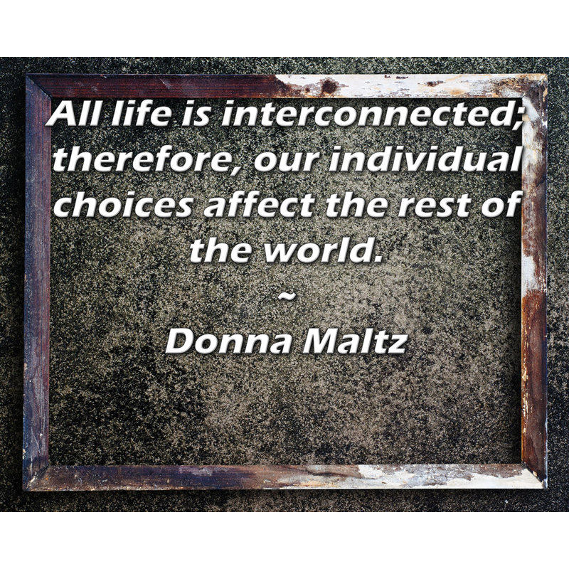 Toile tendue d'ArtsyQuotes par Donna Maltz: «Toute vie est interconnectée; par conséquent, nos choix individuels affectent le reste du monde.»