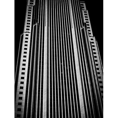 Resilience Print by Kevin Quinn