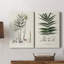 Toile tendue avec galerie Botanical Society Ferns-747996745