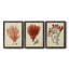Antique Red Coral IV - Ensemble de 3 peintures sur toile encadrées-1301298117-1301298119