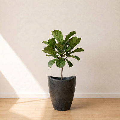 Vinisha ECOBO EcoFriendly Round Pot Planter, Onda IndoorOutdoor use, Four Season Use