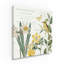 «Citron Curiosities III» par Katie pertiet - impression sur toile-115934040