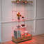 Modern Glass Display Cabinet With 2 Large Drawers-232972417
