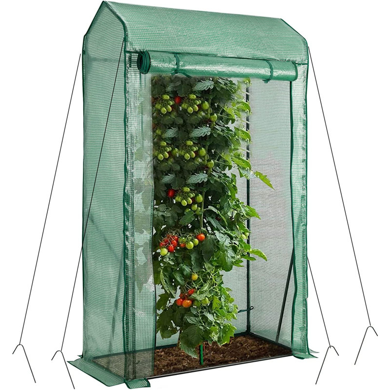 Walk-In Garden Greenhouse Portable Garden Greenhouse