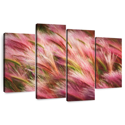 Harnek Foxtail Barley