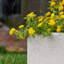 Argentine Trough Planter-94137282