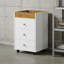 Armoire de rangement mobile