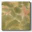 Toile tendue Botanical Aura II-Gallery-149127367