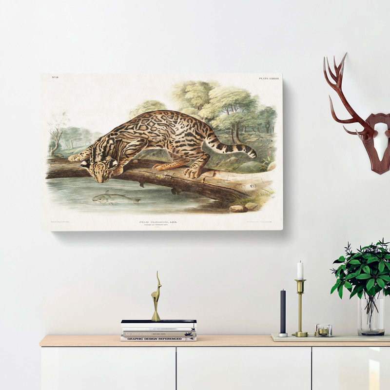 Leopard-Cat by J.W. Audubon - Wrapped Canvas, 35cm H x 50cm W x 3cm D