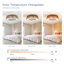 Ventilateur de plafond tressé 21 po Bohemian
