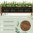 Keoni Planter-1776913873