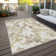 Machine Washable Indoor/Outdoor Chayden ACN1035 Rug