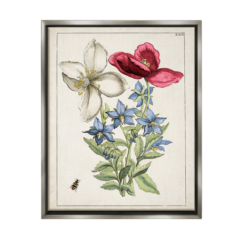 «Vintage Beetle & Flowers Floater Frame» par World Art Group sur toile, Cadre flottant gris lustré, H 21 po x l 17 po