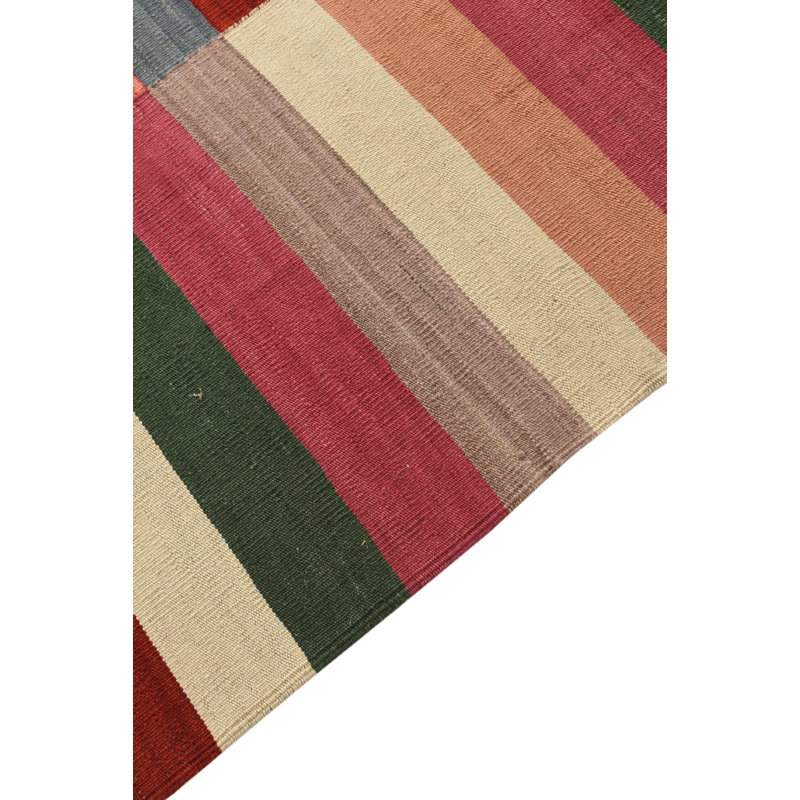 8x11 Petrella Multi Rug