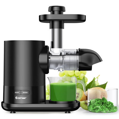 Extracteur de jus à mastication lente Costway