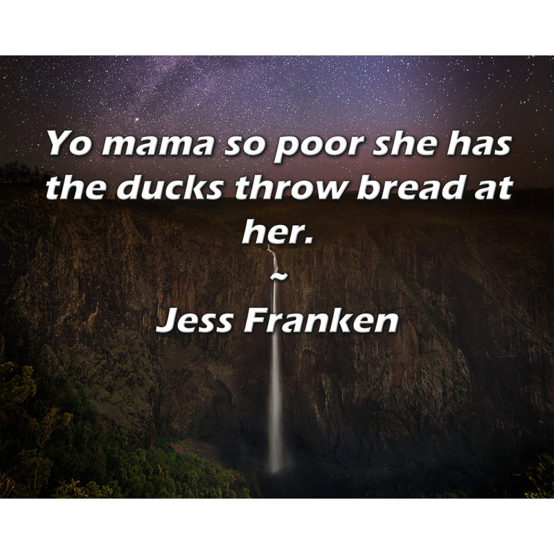 Toile tendue de la galerie Trinx par Jess Franken: «Yo mama so less qu'elle a les canards jettent du pain, H 13 po x l 18 po