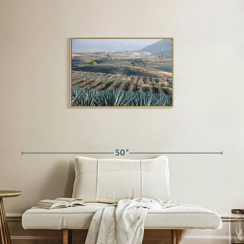 Téquila Jalisco Agave Field, Cadre flottant en bois naturel, 31 po x 21 po