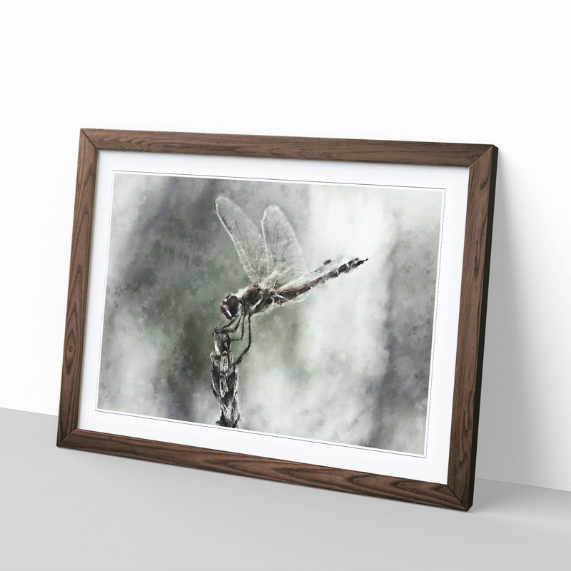 Perched Dragonfly - Picture Frame Graphic Art Print, 33cm H x 45cm W x 2cm D, Walnut