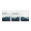 3 Piece No Frame Print on Canvas