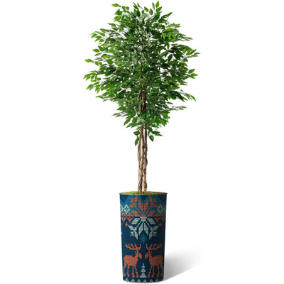 75 plantes