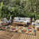 Bernia Floral Ivory/Red/Green Indoor/Outdoor Area Rug