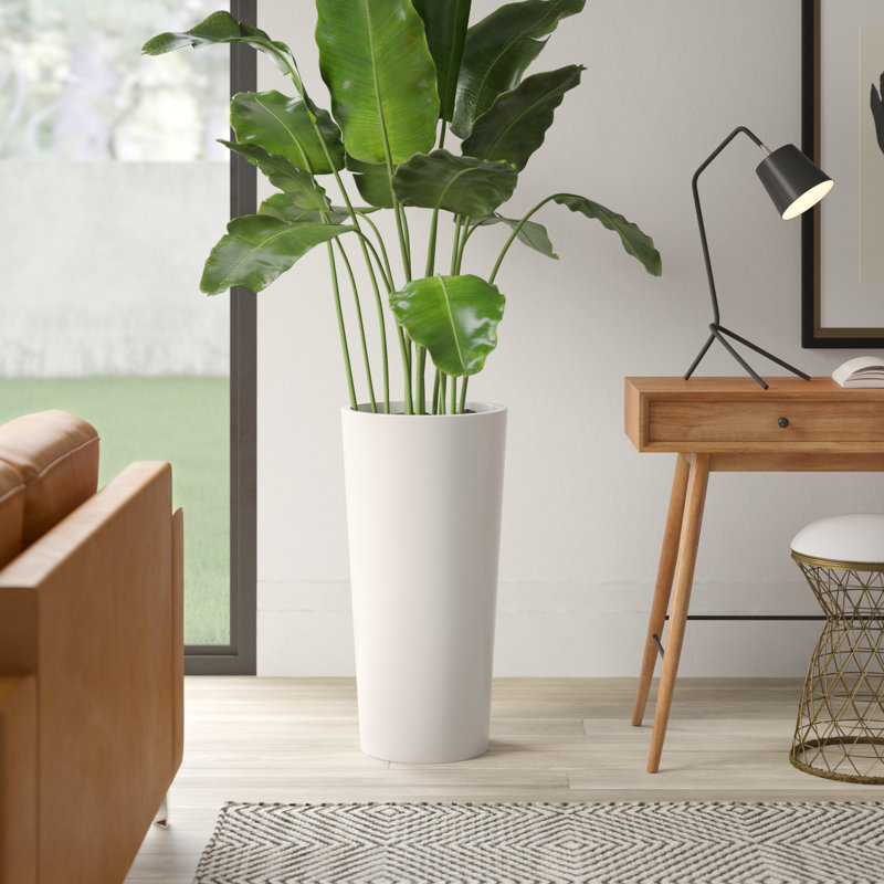 Jardinière cylindrique haute et ronde Sonoma, Blanc, H 30 po x l 15 po x P 15 po