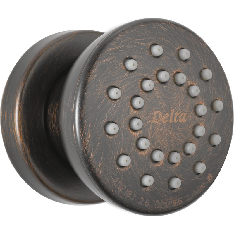 Full Adjustable Body Spray with TouchClean, Venetian Bronze