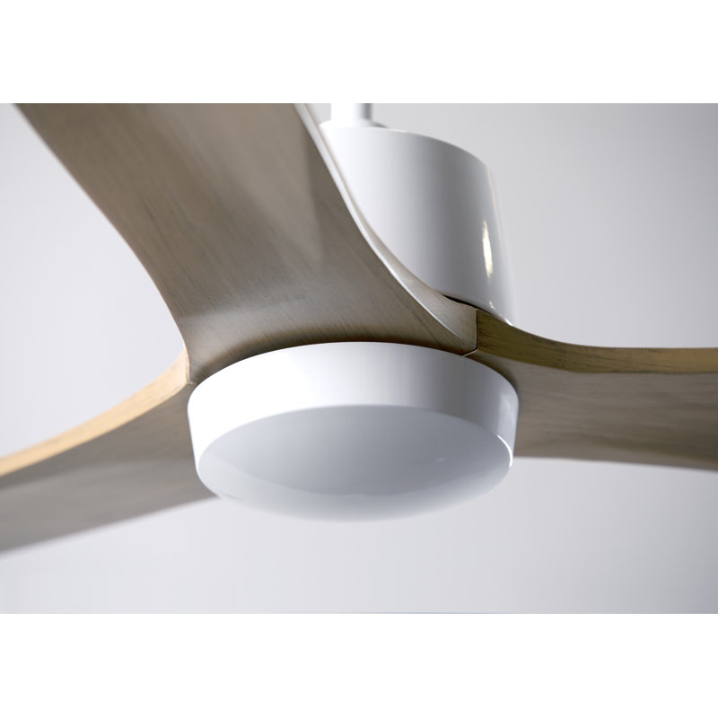 Arbor Downrod Ceiling Fan, Maple, Gloss White, Wall Control