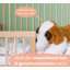 Baby Cot Toni with Junior Function-93577821-93577819