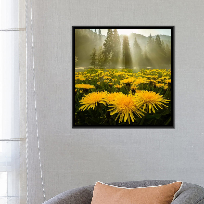 « matinée gloire ii », reproduction de photo sur toile, H 37 po x l 37 po x P 1,5 po, Toile avec cadre noir