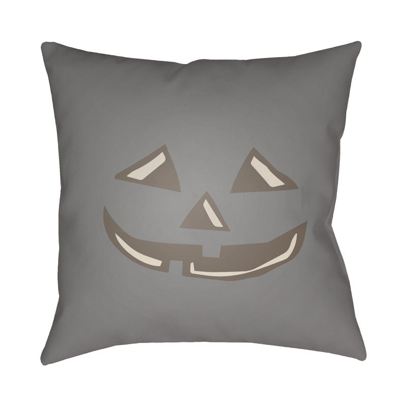  Indoor/Outdoor Throw Pillow, 18" H x 18" W x 4" D, Teal