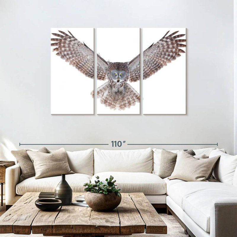 Brampt Owl Power, 48" H x 74" W