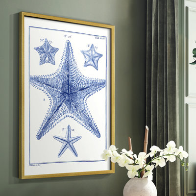 «Blue Sea Stars», reproduction encadrée en bois massif