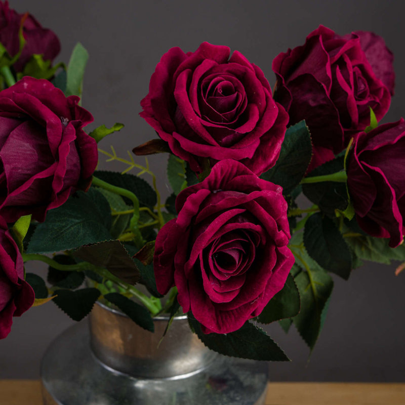 Anastasija Arrangement