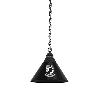 1 - Light Single Pendant