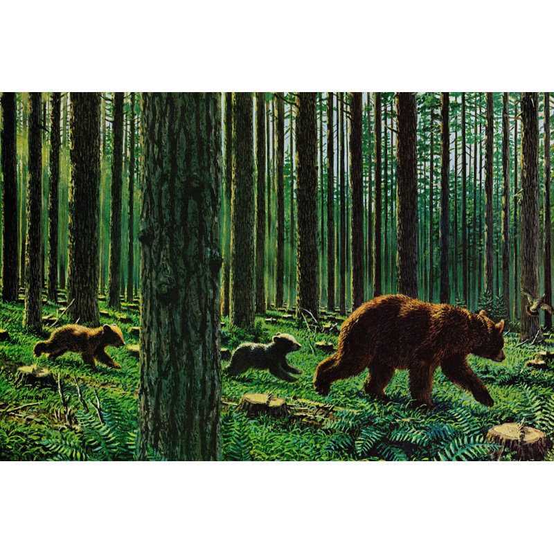 Wrapped Canvas Print, 101cm H x 152cm W x 3.81cm D