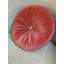 Coussin Therese-1569578044-1569578085
