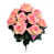 Rose est en rupture de stock