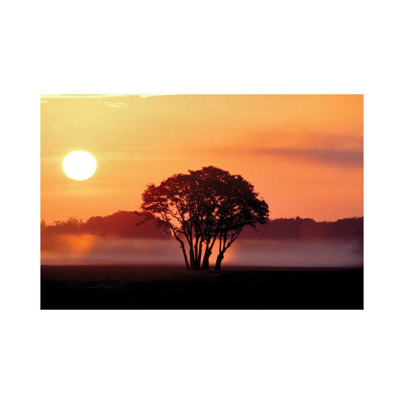 Pasture Sunrise by Dennis Frates - Print on Canvas, 20.32cm H x 30.48cm W x 1.91cm D, Wrapped Canvas