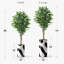 Arbre artificiel avec motif de blocs de couleur noir et blanc Signleader, faux ficus pour salon, chambre à coucher, bureau - 5,5 pieds (66 po)-563503514