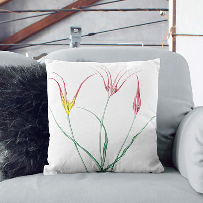 Square Throw Cushion