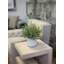 Astilbe Arrangement-476741841