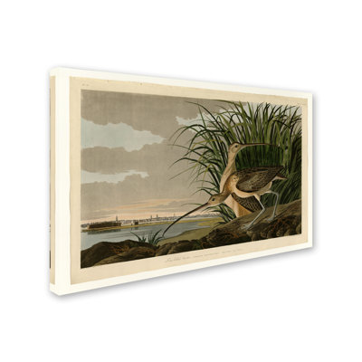Mid-Century Painting Print